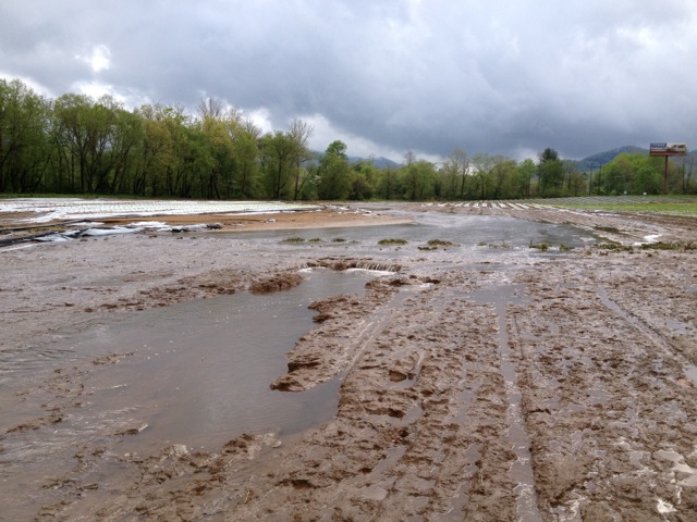 flooded fields 2013 (1)