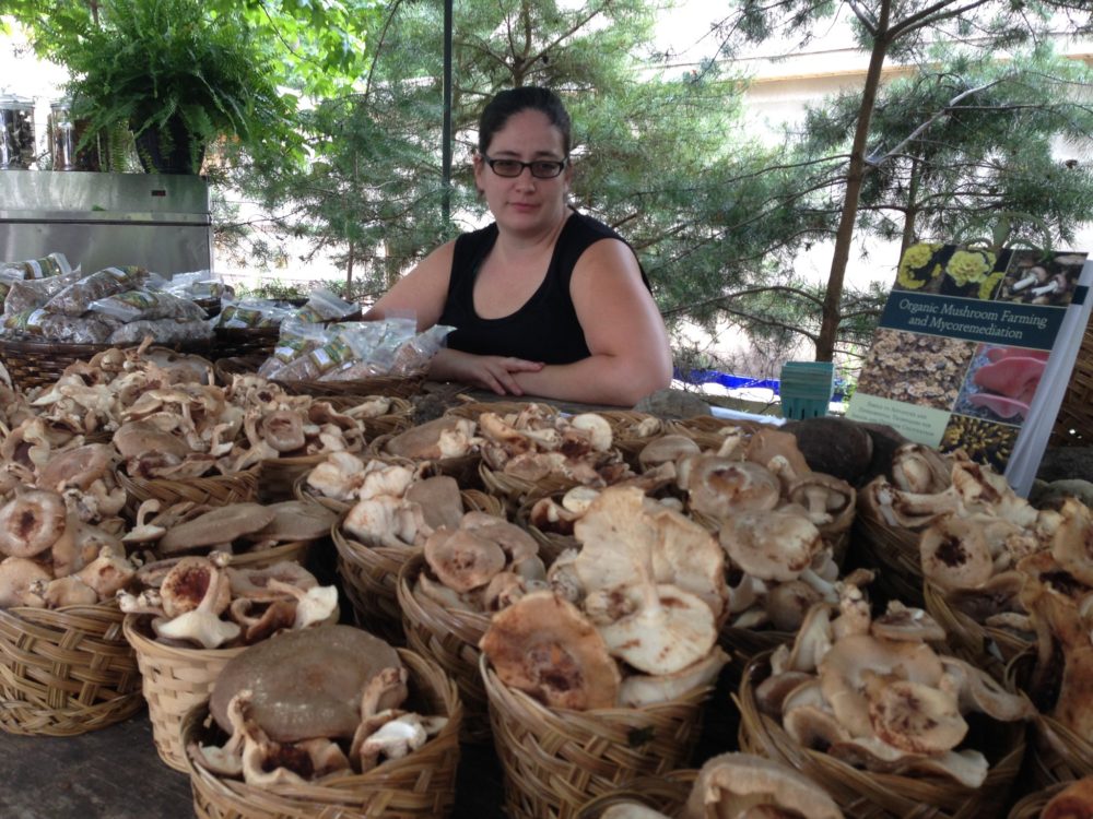 Farmer staring at bags stuffed with fresh shiitake mushrooms