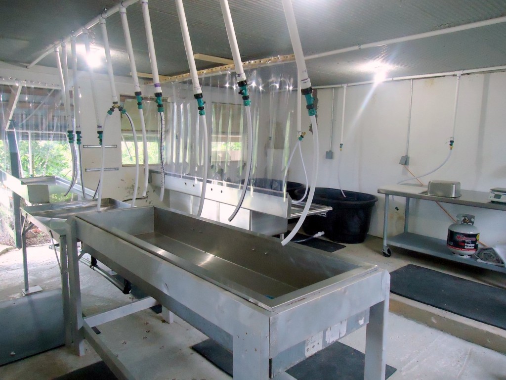 Processing facility at Healthy Hens farm