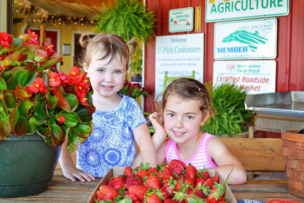 Two children posing with freshly harvested strawberries