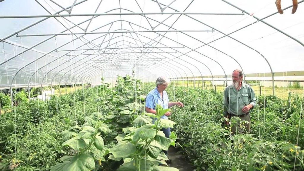 Laura Lengnick and Ken Dawson looking at tomatoes at Maple Springs credit climate listening project