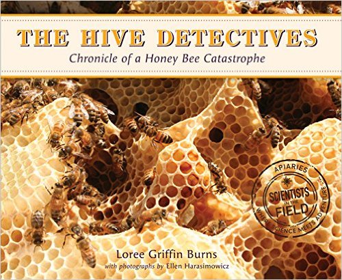 The hive detectives