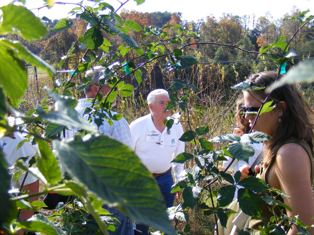 Walker Miller takes eager farmers on a tour of his farm as part of the Sustainable Agriculture Conference held in Greenville in 2012