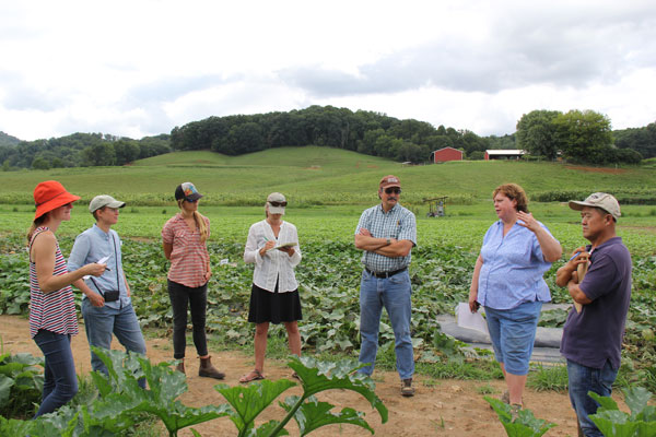 Pictured here is the NC State research station based outside of Asheville. In the forefront are organic cucurbit trials as part of the ESOCuc project, a multi-state organic plant breeding project. Also pictured are the TOMI project variety trials focused on improving organically produced tomatoes for the fresh market. Photo by Kiki Hubbard