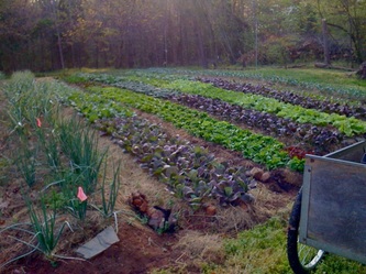 selling-to-chefs-four-leaf-farm-in-rougemont