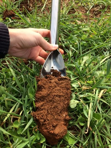 Soil sampling, Gena Moore (6)
