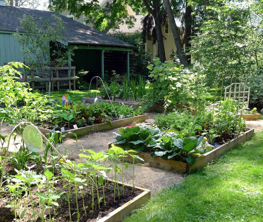 Plan Now For A Year Round Harvest, How To Plan A Year Round Garden