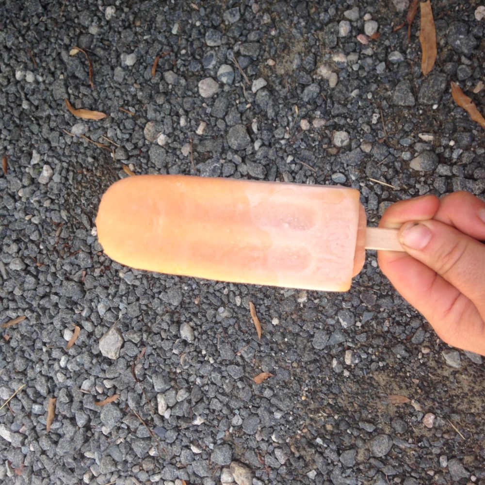 Pawpaw popsicle from Locopops in Durham