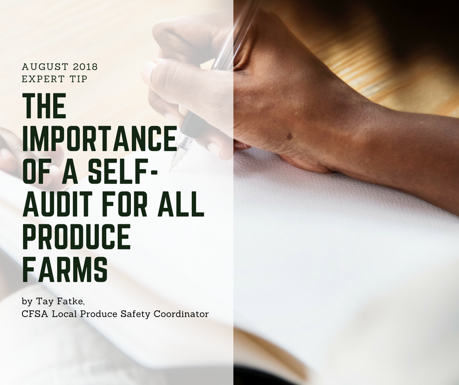 The Importance of a Self-Audit for All Produce Farms