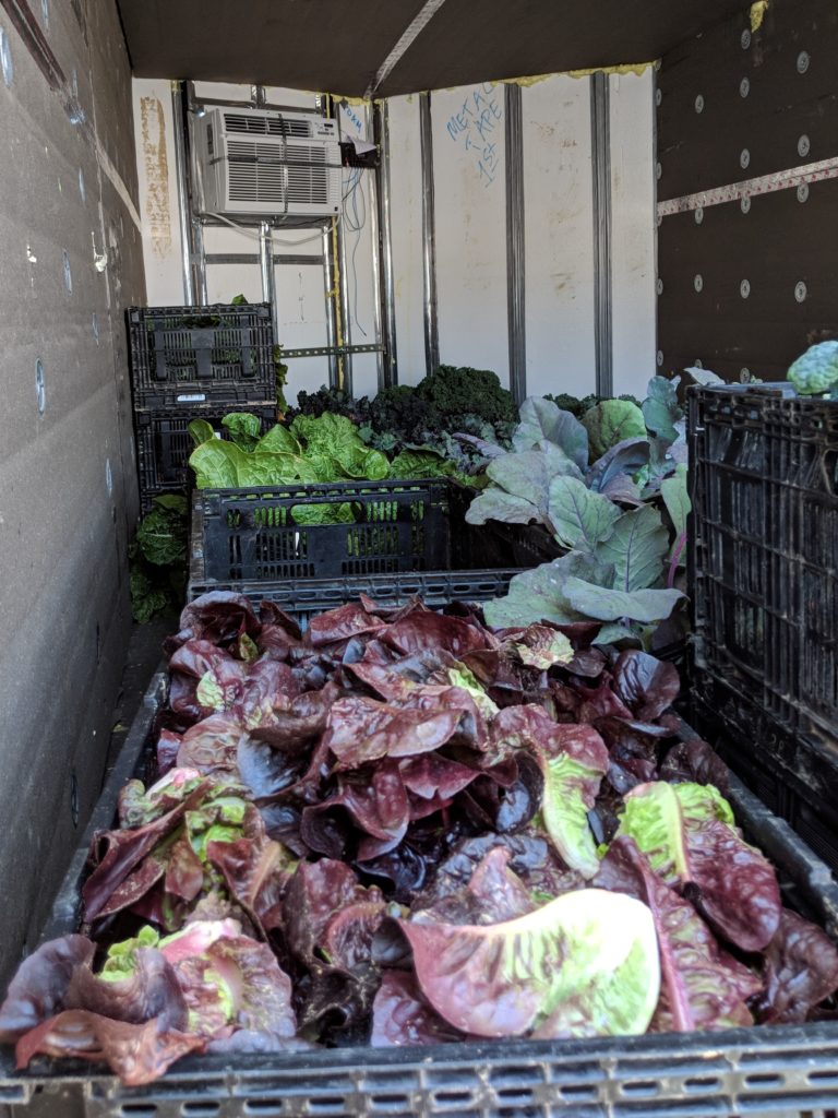 Freshly harvested produce pre-cooling in an insulated trailer, fitted with a cool-bot. Photo credit: Sarah Bostick