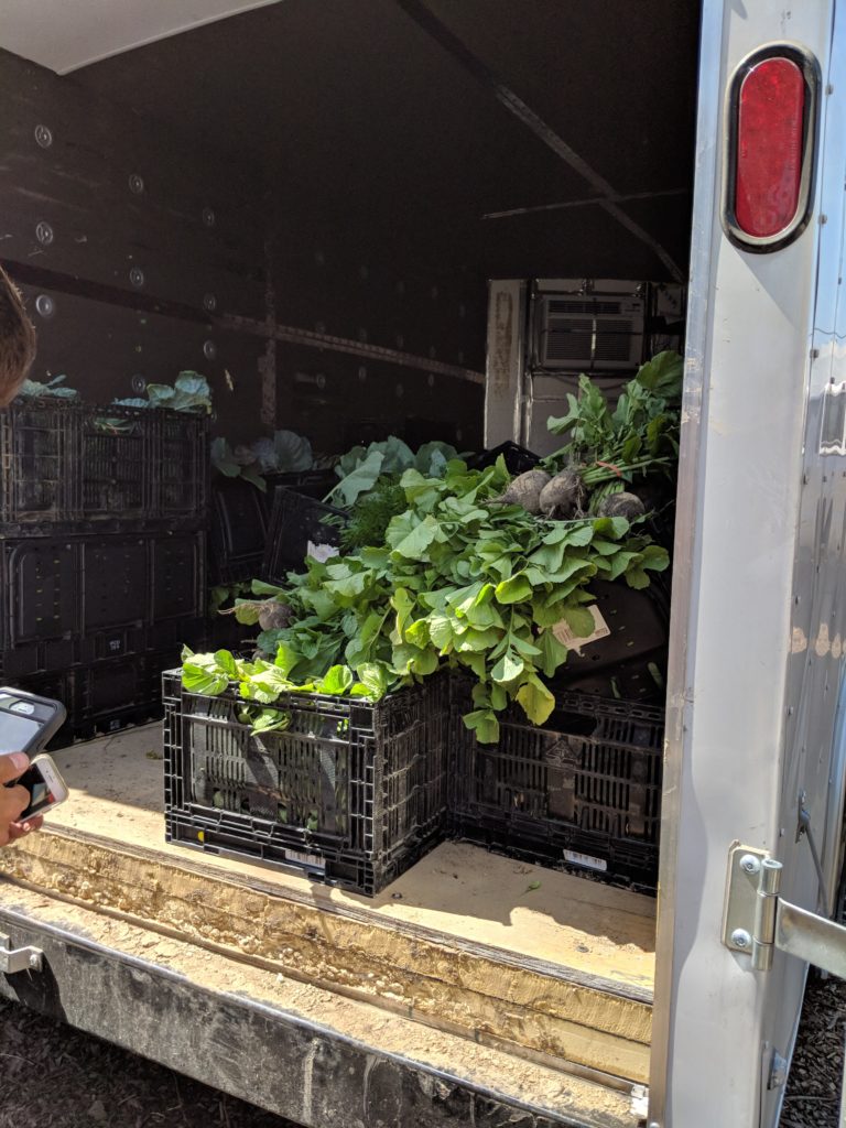 Harvested beets in crates in a box truck. Photo credit: Sarah Bostick