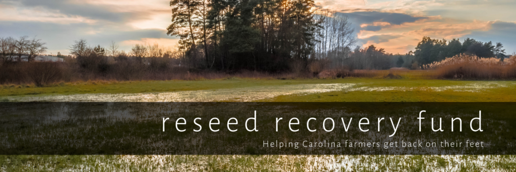 RESEED recovery fund header