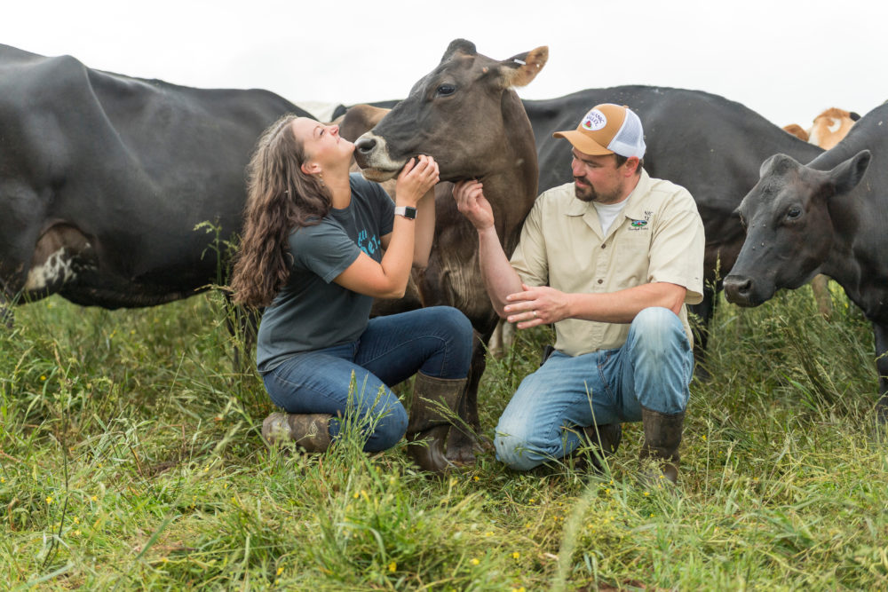 Farmers nuzzling one of their cows in the field. Credit: Organic Valley