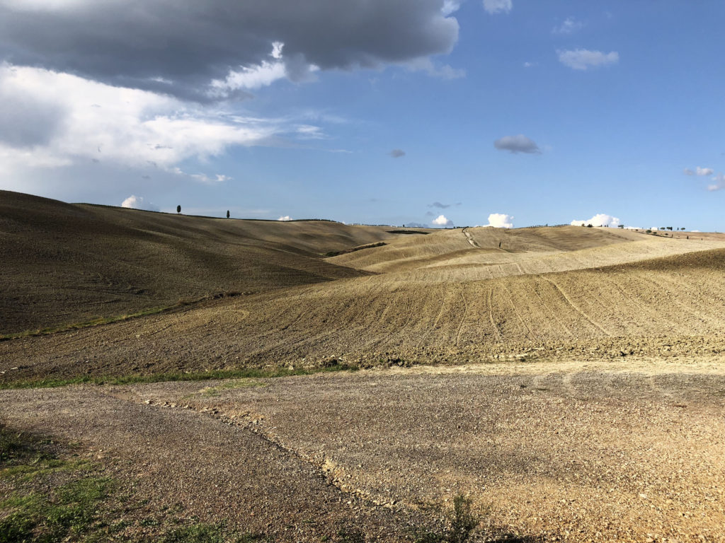 Field at Molino Val d’Orcia