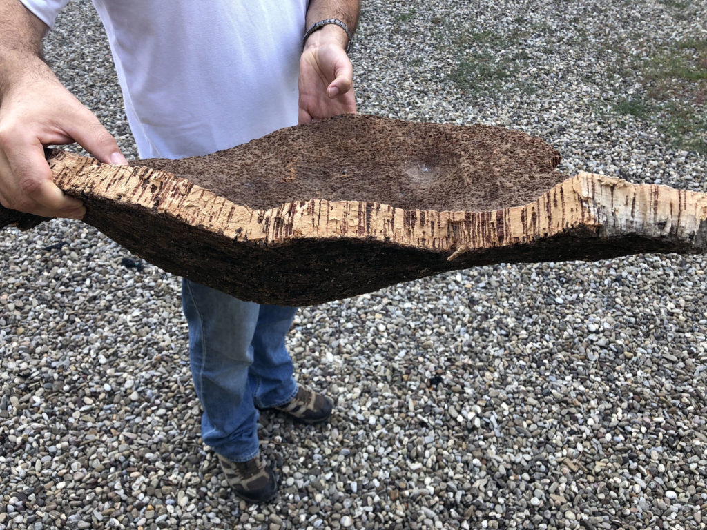 Extracted cork at Tenuta di Paganico