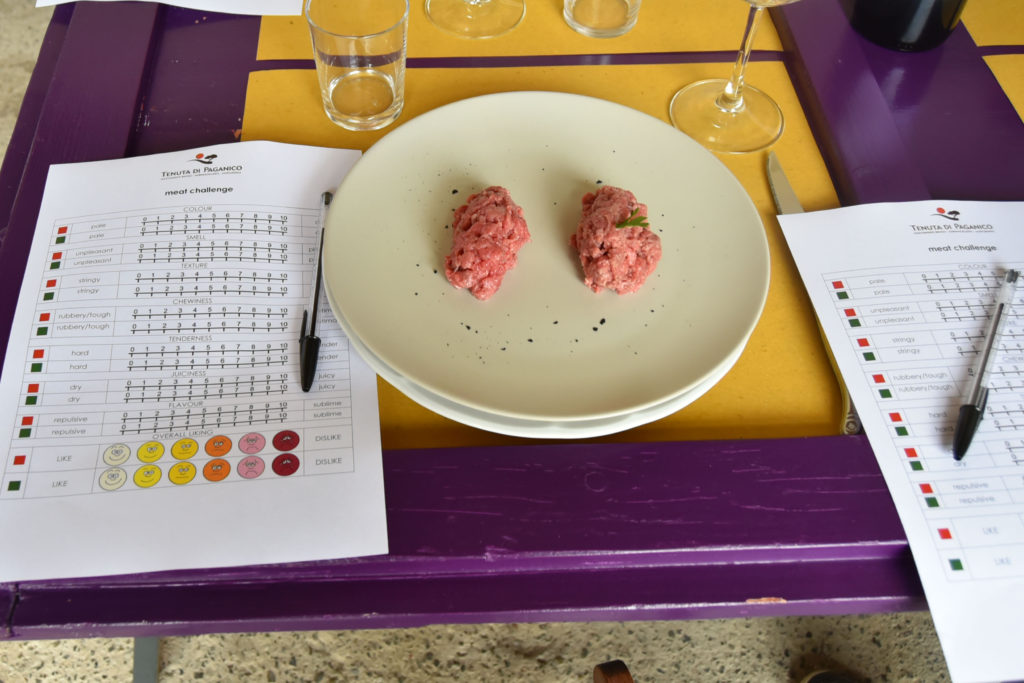 Blind taste test of feedlot-farm meat and farm-raised at Tenuta di Paganico