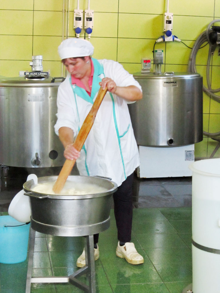 Woman making cheese at Az Agr Pessolani in Abriola, Italy