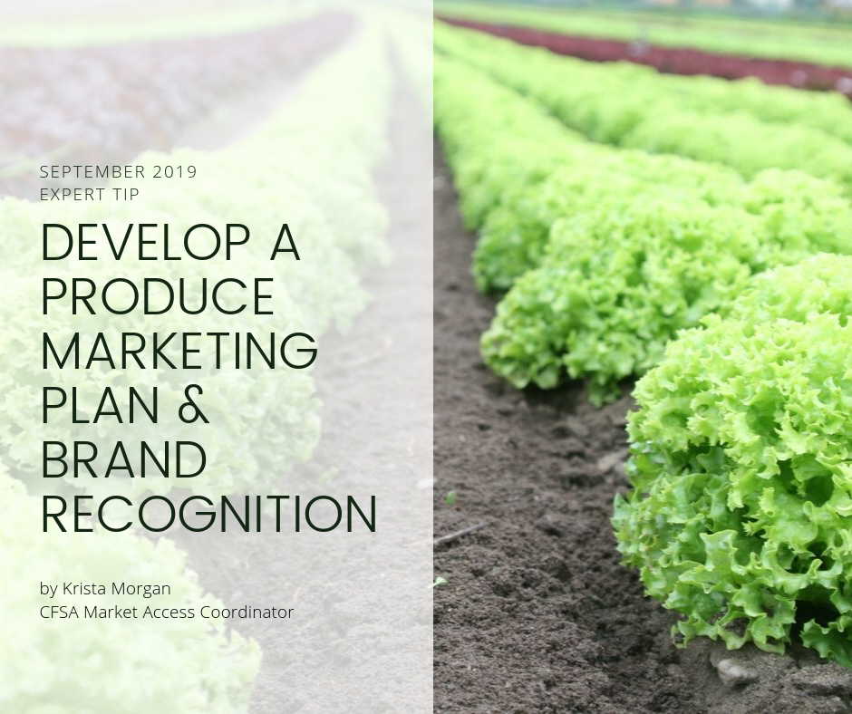 Develop a Produce Marketing Plan & Brand Recognition by Krista Morgan