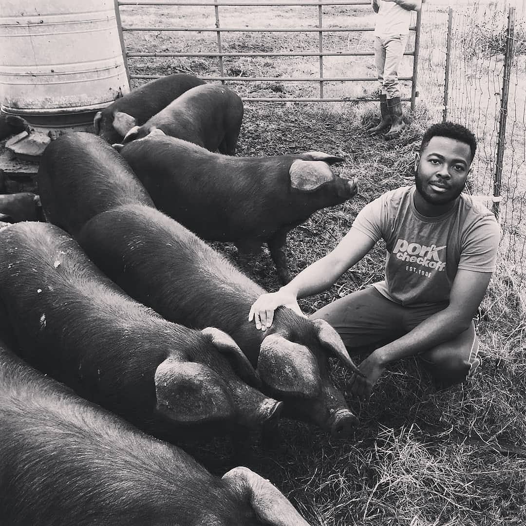 Rhyne Cureton hanging out with some pigs. Photo via Rhyne Cureton
