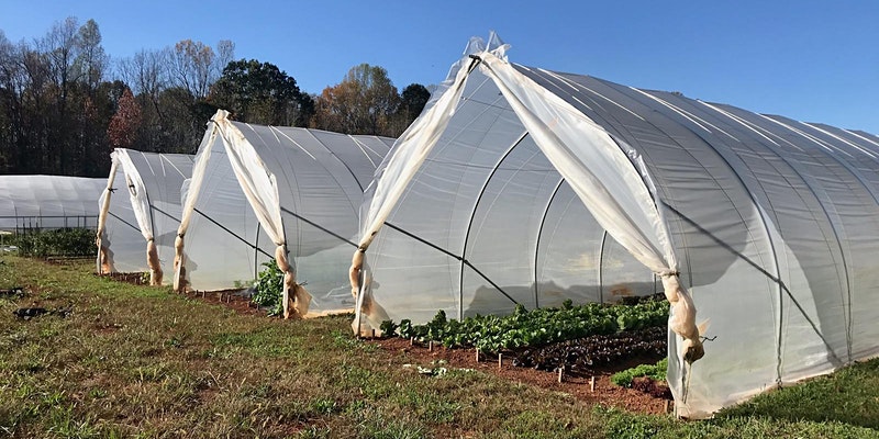 Ventilated high tunnels