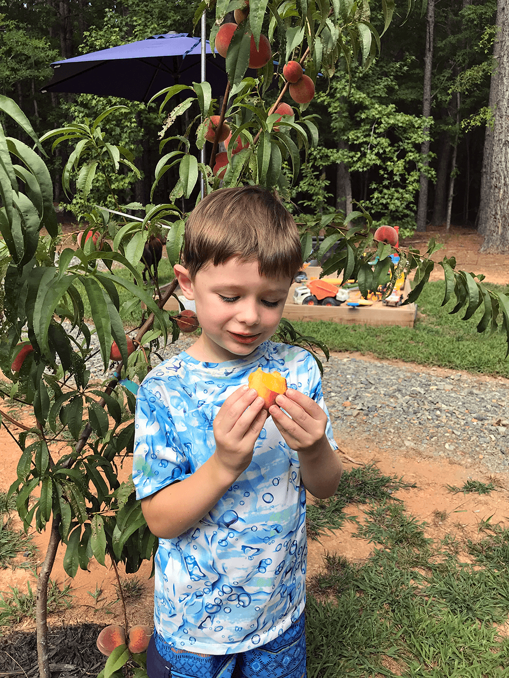 Marianna's son eating peaches in front of a peach tree