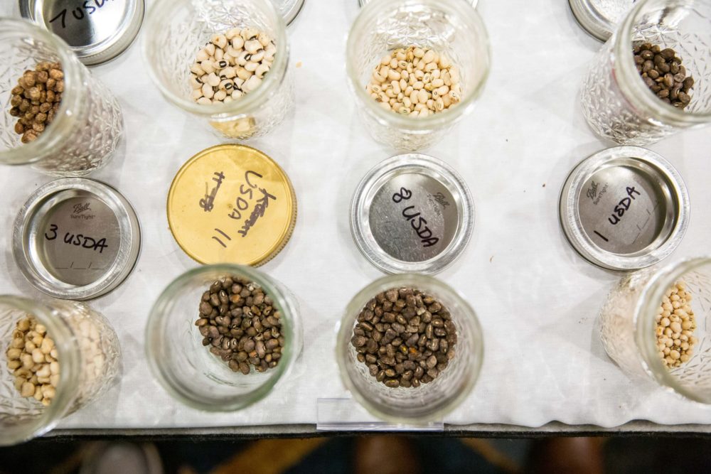 Seeds in open jars for exchange at the 2019 Sustainable Agriculture Conference