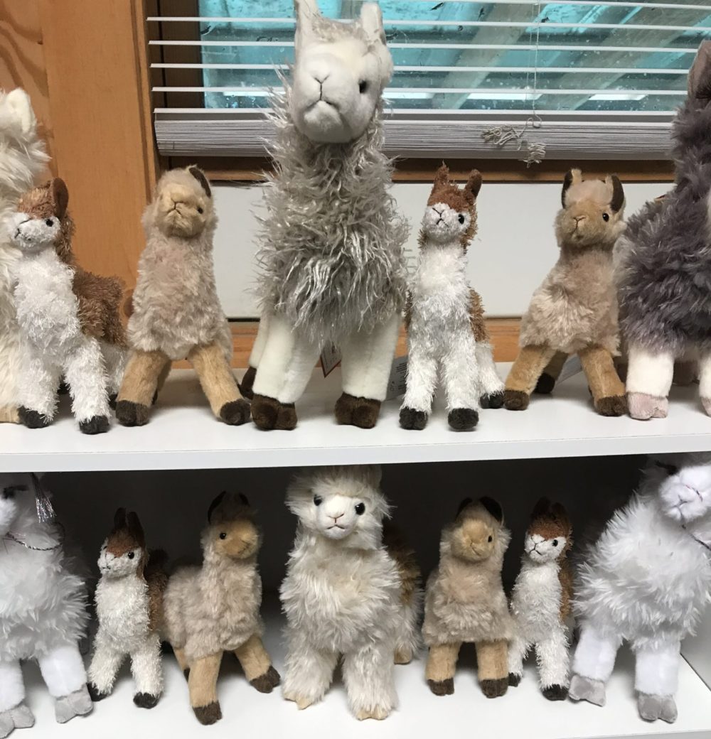 Toy alpacas on a shelf, weaved by the fibers of the farm the wool came from (Alpaca Dreams)