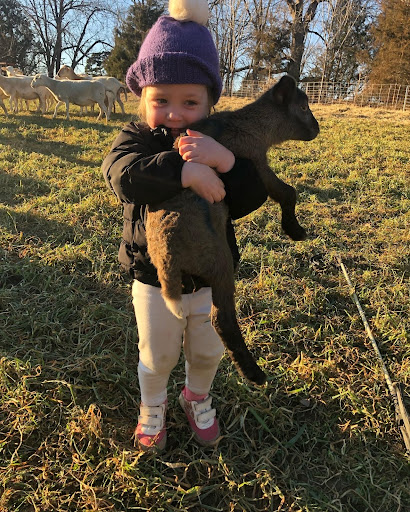 A light-skinned child wearing a purple wool hat, white pants, and red shoes holds a lamb on a fall day outside