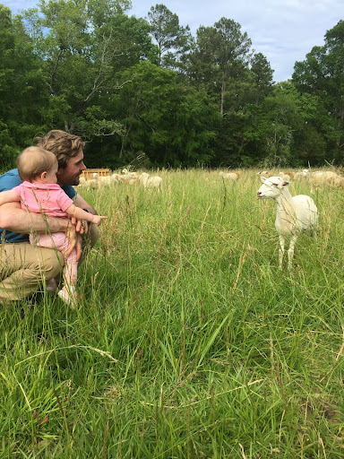 A light-skinned man with sandy-colored hair is crouching in a meadow, holding a small child. Both are looking at a sheep closeby.