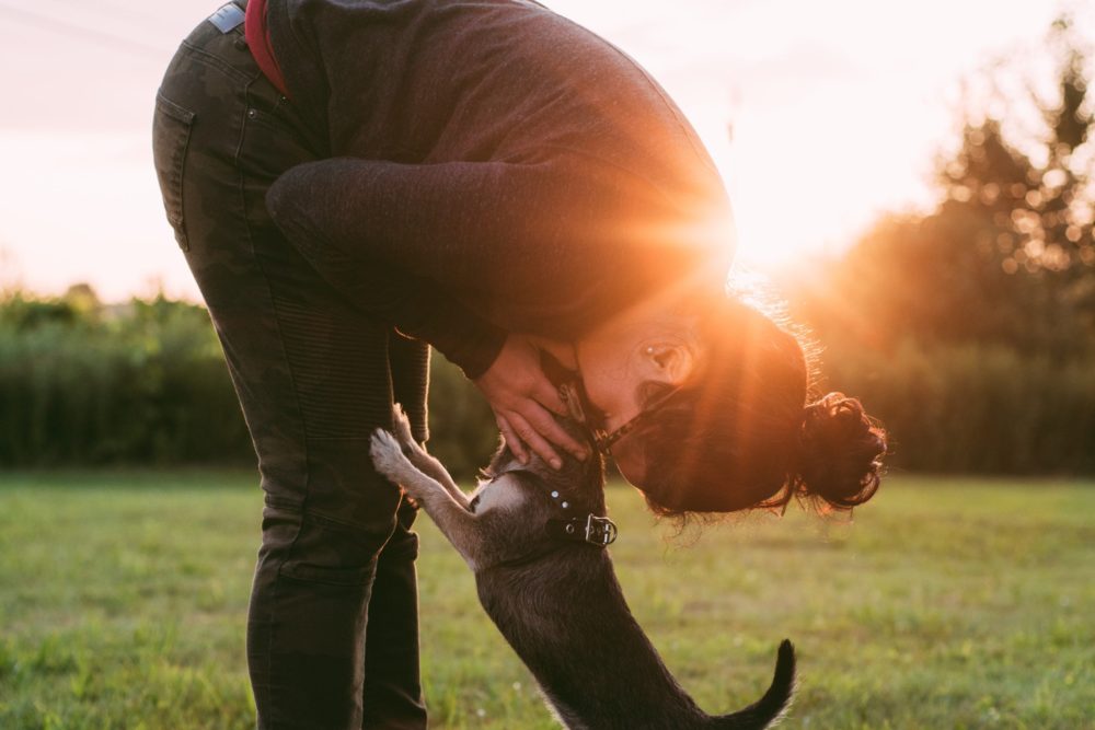 A person bends over to hug a dog in a grassy field as the sun sets behind them