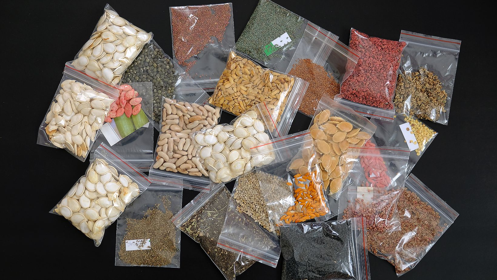 How to Store Vegetable Seeds Long Term - CFSA