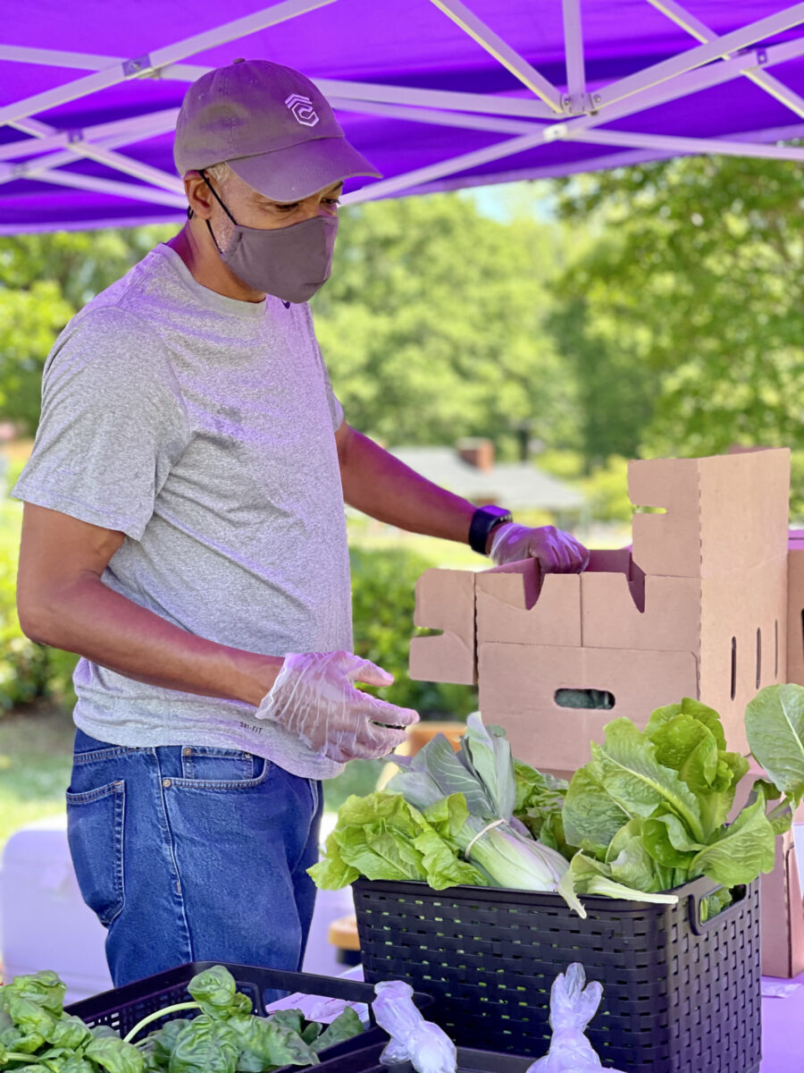 A man packs greens into a food box beneath a purple tent